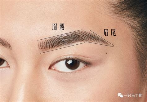 眉头|眉头 : brows... : méi tóu 